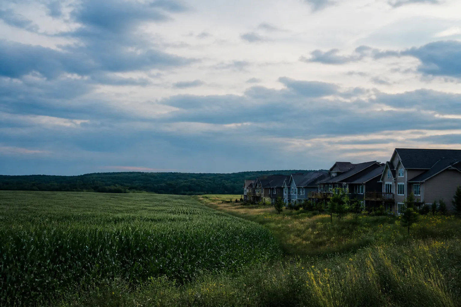 New Minnesota rooftops beside a cornfield