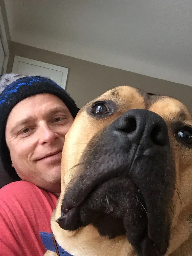 A dog close to the camera